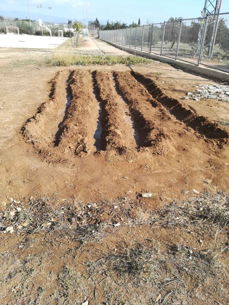 Tornem a conrear l’hort | Institut Antoni Ballester