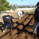 Tornem a conrear l’hort | Institut Antoni Ballester