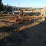 Tornem a conrear l’hort | Institut Antoni Ballester