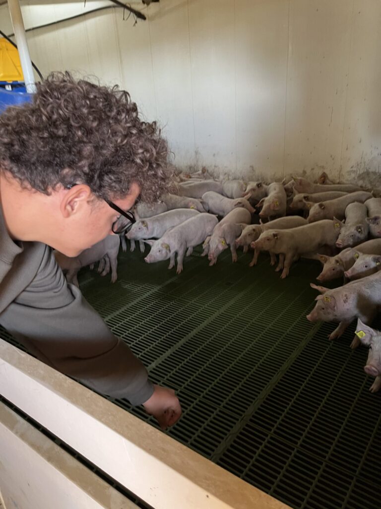 Sortida a la Granja Escoda de Vilanova d’Escornalbou | Institut Antoni Ballester
